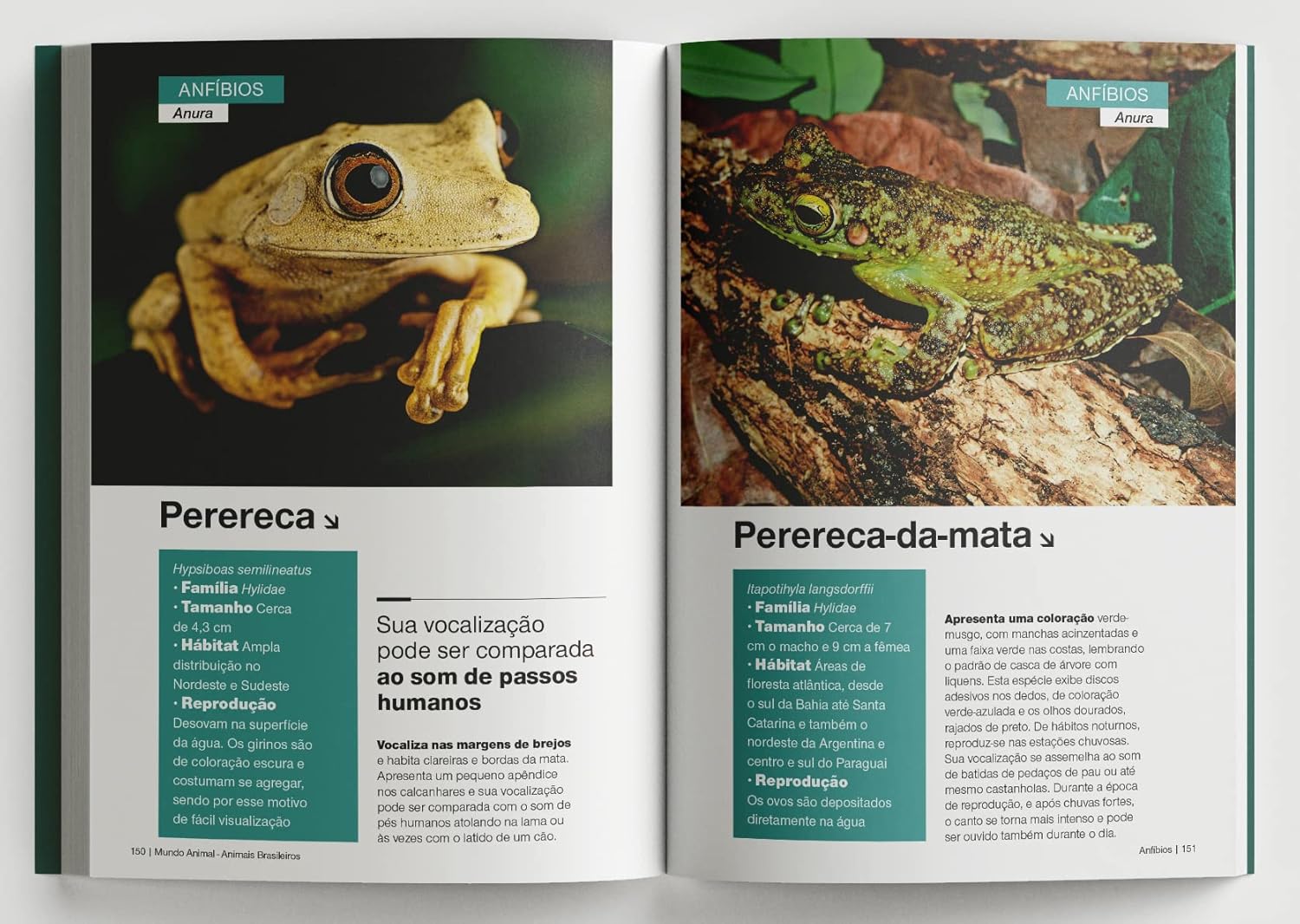 Biblioteca Mundo Animal