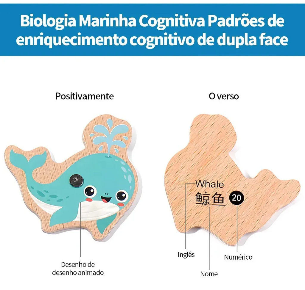 Pescaria Magnética